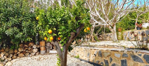 Villa T4 em Dehesa De Campoamor, Spain N.º 184792 40