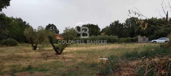 Grundstück in Soriano nel Cimino, Italy 2000m², Nr. 103604 9