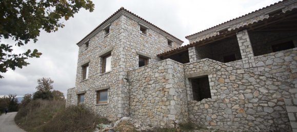 360m² Property in Laconia, Greece No. 3414 4