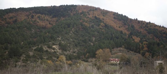 360m² Property in Laconia, Greece No. 3414 25