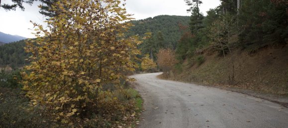 360m² Property in Laconia, Greece No. 3414 29