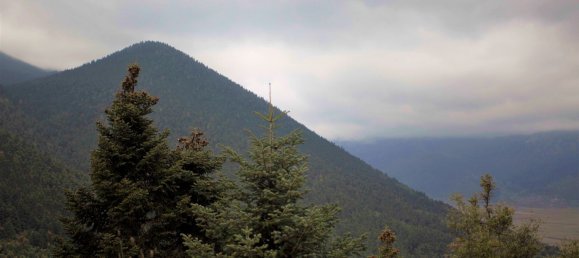 360m² Property in Laconia, Greece No. 3414 27