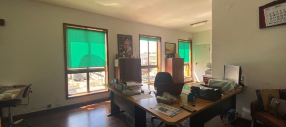 3200m² Warehouse in Sao Joao da Madeira, Portugal No. 63429 11