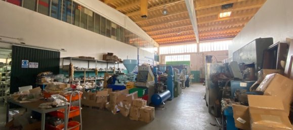 3200m² Warehouse in Sao Joao da Madeira, Portugal No. 63429 18