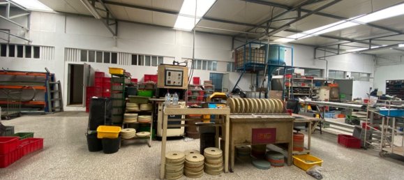 3200m² Warehouse in Sao Joao da Madeira, Portugal No. 63429 3