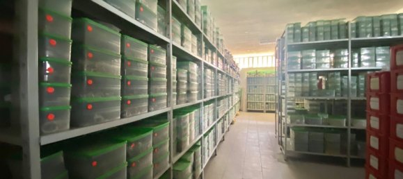 3200m² Warehouse in Sao Joao da Madeira, Portugal No. 63429 13