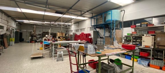 3200m² Warehouse in Sao Joao da Madeira, Portugal No. 63429 4