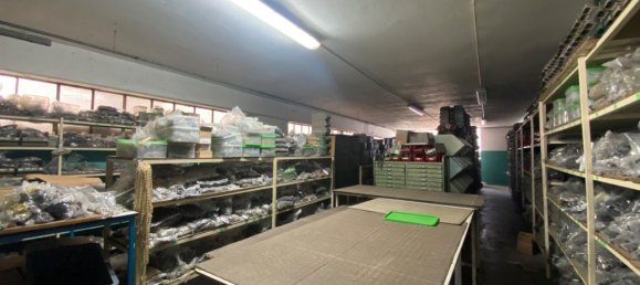 3200m² Warehouse in Sao Joao da Madeira, Portugal No. 63429 5