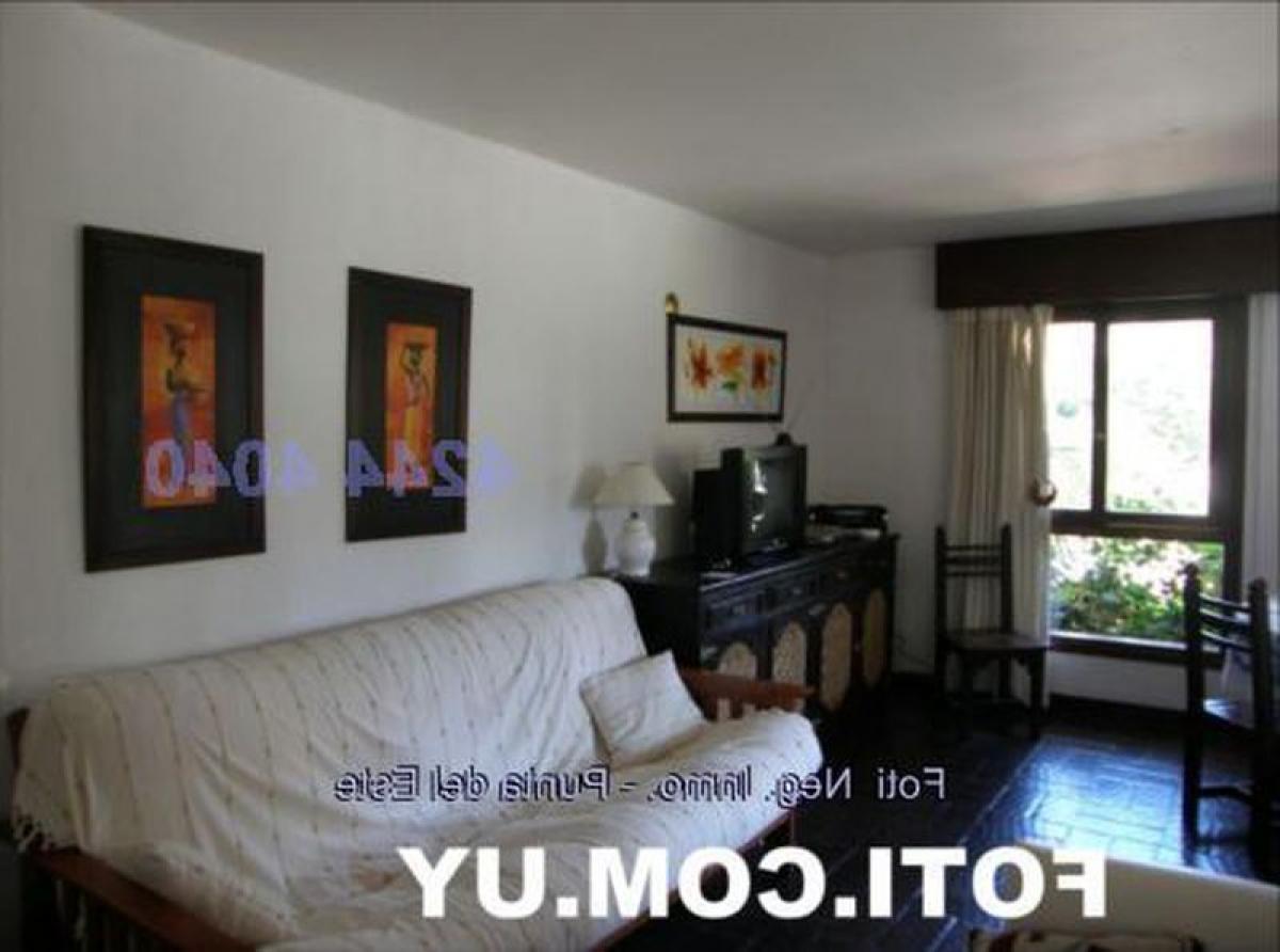 Apartamento T2 em Punta del Este, Uruguay N.º 3439