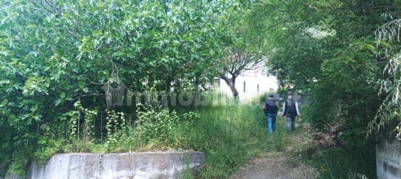 5 chambres Villa à Nemoli, Italy No. 31852 14