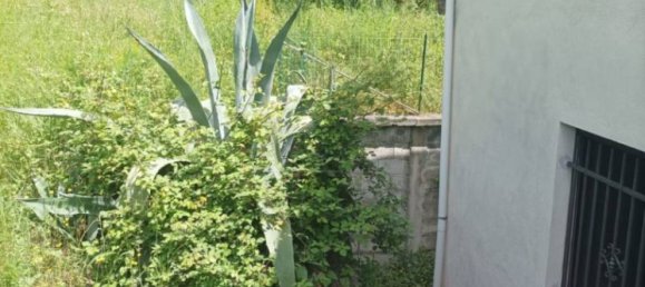 5 chambres Villa à Nemoli, Italy No. 31852 74