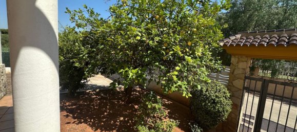 7 Schlafzimmer Stadthaus in Castellon de la Plana, Spain, Nr. 155176 14