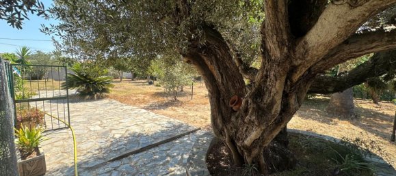 7 Schlafzimmer Stadthaus in Castellon de la Plana, Spain, Nr. 155176 23