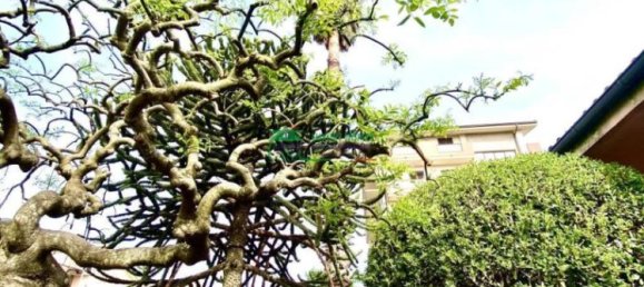 3 bedrooms Villa in Ragusa, Italy No. 172956 35