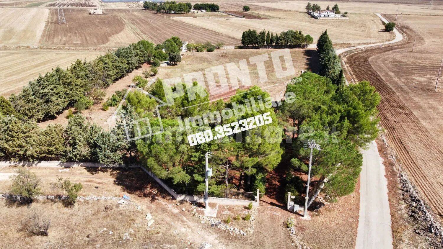 Дом с 8 спальнями в Альтамура, Италия № 84828