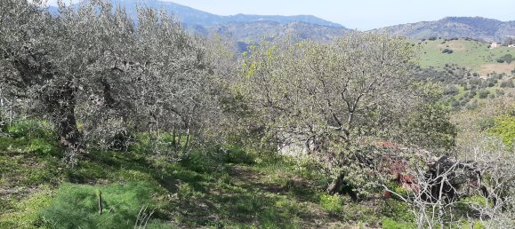 Студия в Поллина, Италия № 256226 15