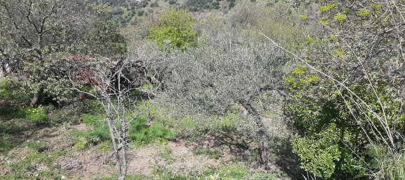 Студия в Поллина, Италия № 256226 16