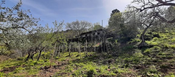 Студия в Поллина, Италия № 256226 4