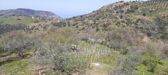 Студия в Поллина, Италия № 256226 22