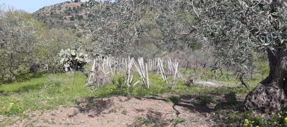 Студия в Поллина, Италия № 256226 7