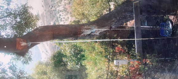 Студия в Поллина, Италия № 256226 33