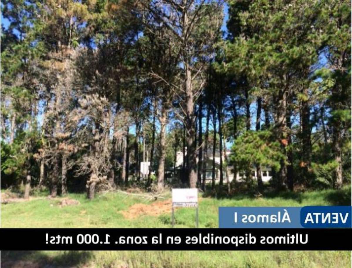  Land in Mar del Plata, Argentina No. 116526