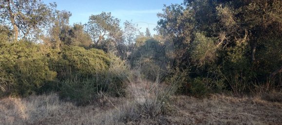 Terreno en Olhao, Portugal 25720 m² No. 32426 9