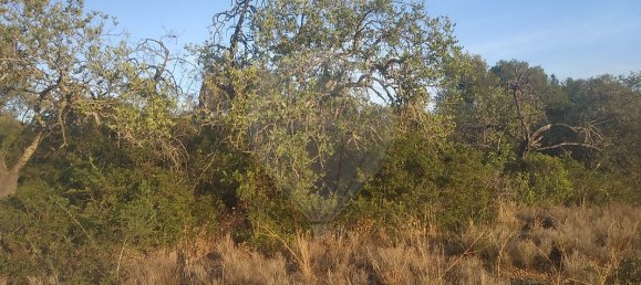 Terreno en Olhao, Portugal 25720 m² No. 32426 4