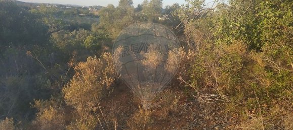 Terreno en Olhao, Portugal 25720 m² No. 32426 2