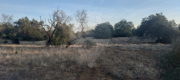 Terreno en Olhao, Portugal 25720 m² No. 32426 12