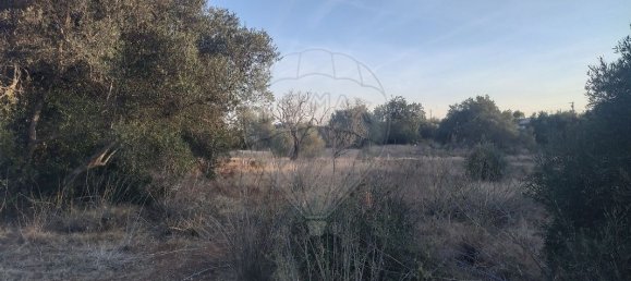 Terreno en Olhao, Portugal 25720 m² No. 32426 10