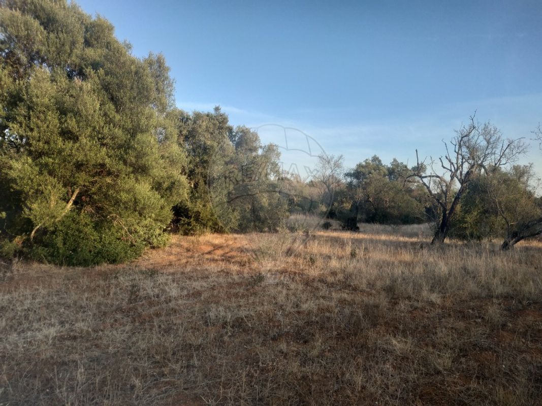 25720m² Land in Olhao, Portugal No. 32426