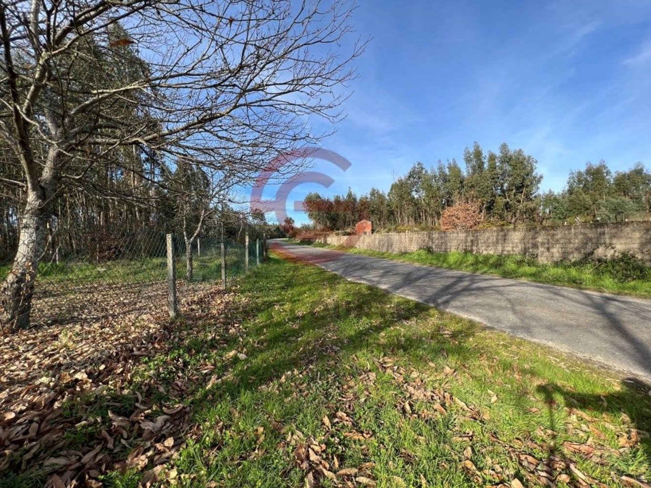 900m² Warehouse in Santa Comba Dao, Portugal No. 242306