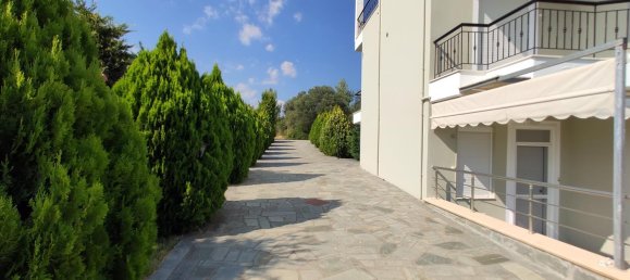 360m² Commercial property in Polygyros, Greece No. 4132 5