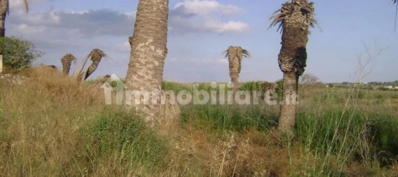 1 غرف نوم منزل في Noto, Italy رقم 67843 3