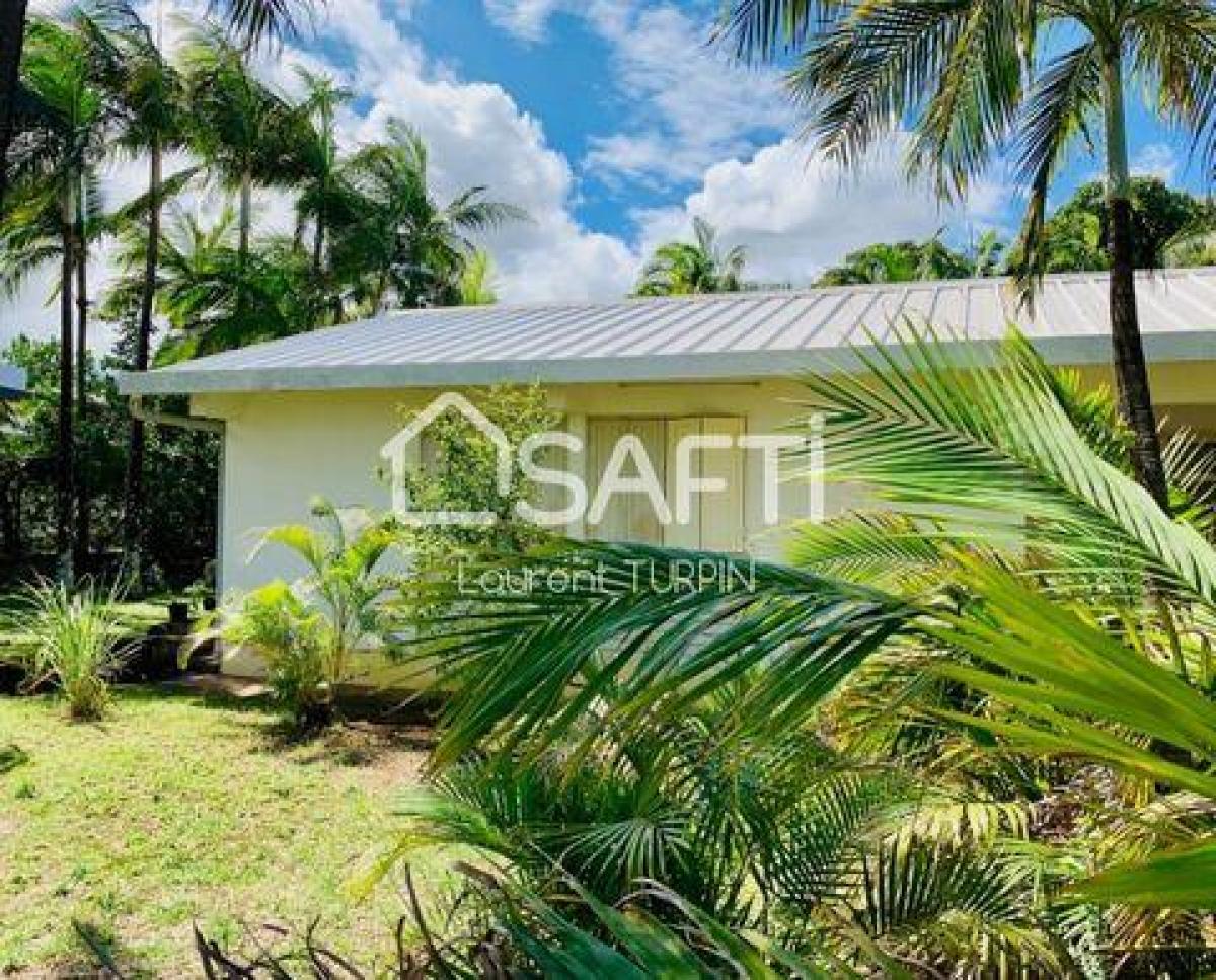 5 Schlafzimmer Haus in Saint-Louis, France, Nr. 25565