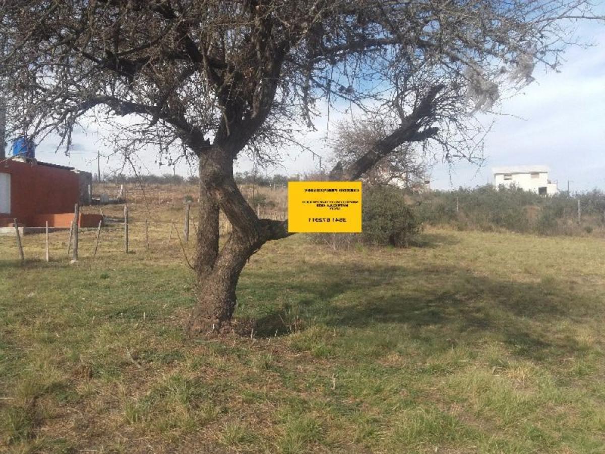  Land in Cordoba, Argentina No. 33049
