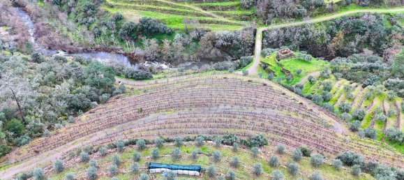 3 bedrooms Castles in Tabuaco, Portugal No. 208841 4