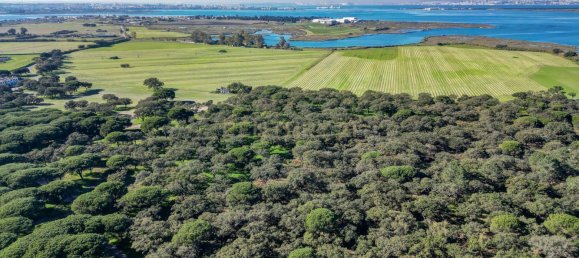 20 Schlafzimmer Haus in Moita, Portugal, Nr. 145793 12