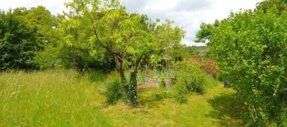 3 rooms Bungalow in Bad Fischau-Brunn, Austria No. 183879 4