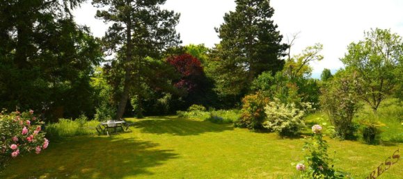 3 rooms Bungalow in Bad Fischau-Brunn, Austria No. 183879 5