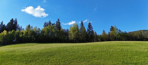 5غرفة منزل في Kirchberg in Tirol, Austria رقم 135447 8