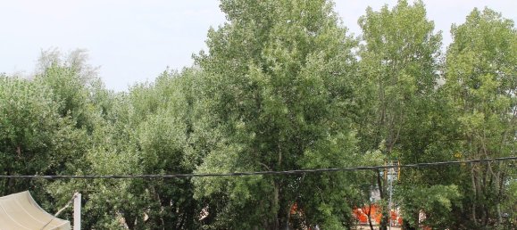 300m² Property in Chalkidiki, Greece No. 7097 10