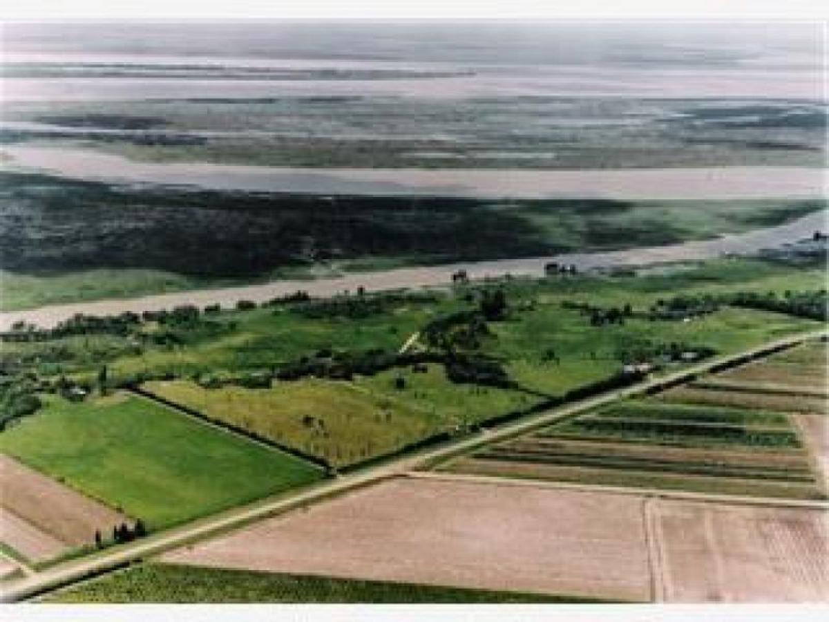  Land in San Pedro, Argentina No. 39483