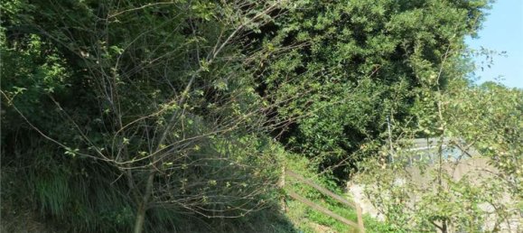 5 rooms Villa in Como, Italy No. 282457 10