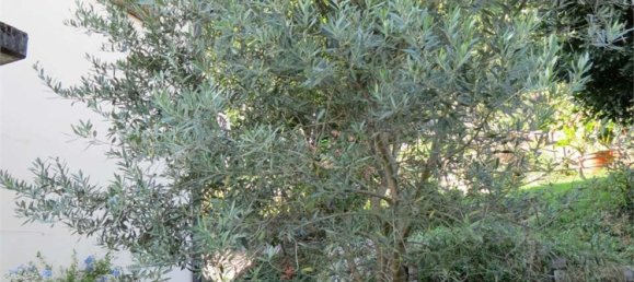 5 rooms Villa in Como, Italy No. 282457 6