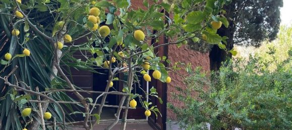 10-Zimmer Villa in San Vincenzo, Italy, Nr. 130059 28