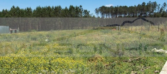 Casa de 7 dormitorios en Leiria, Portugal No. 156494 36