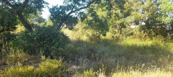 Terrain à Seixal, Portugal 975m² No. 62825 12