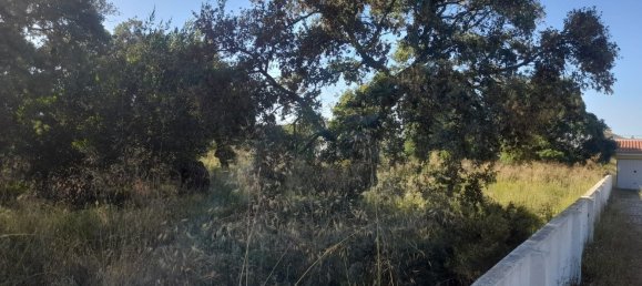 Terrain à Seixal, Portugal 975m² No. 62825 9